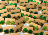 🍀 OMG! Shamrock Acrylic Stud Earrings 🍀